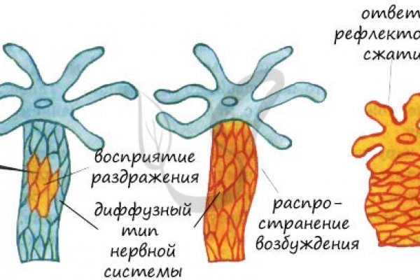 Кракен 2krnk