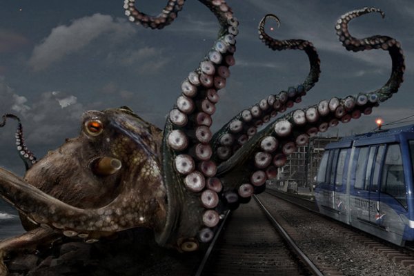 Kraken 13at магазин