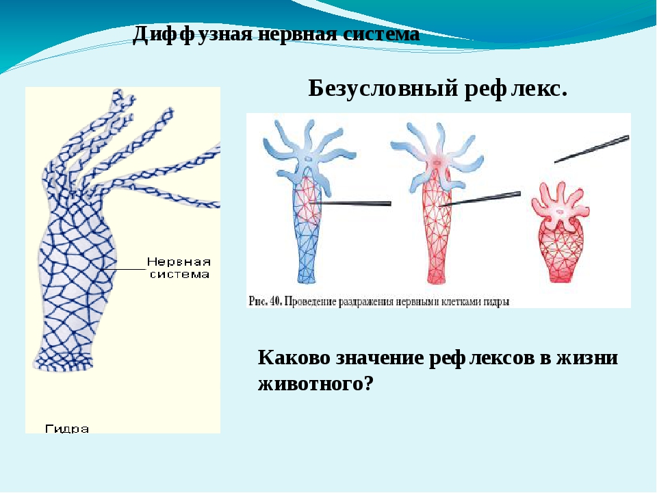 Где найти рабочую ссылку кракен