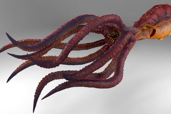 Kraken 13 at ссылка